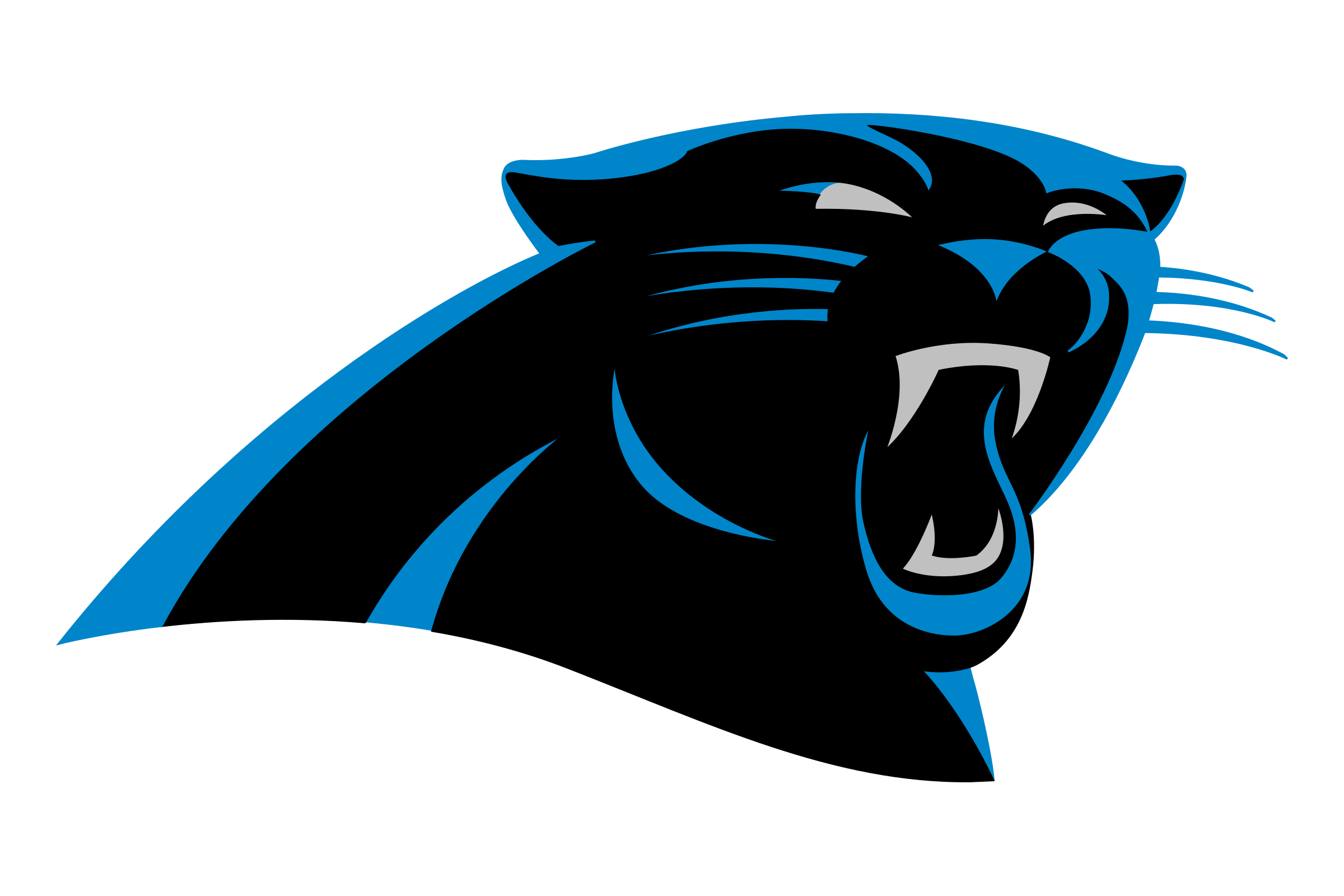 Carolina Panthers